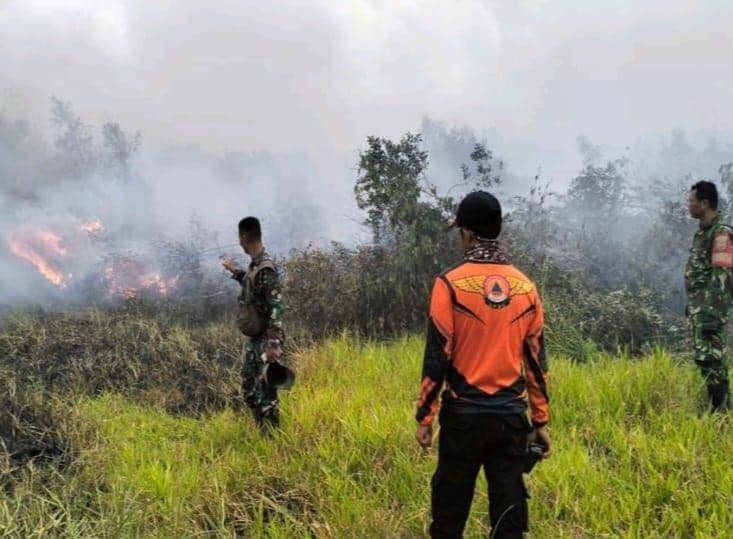 Kebakaran di wilayah Muara Enim (Dok: BPBD Sumsel)