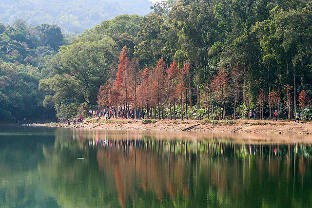 potret Lau Shui Heung Reservoir (commons.wikimedia.org/Wpcpey)