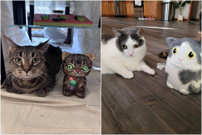 kolase foto gemas kucing dengan patung kucing (reddit.com/user/x_iii_x | reddit.com/user/secretninjafox)