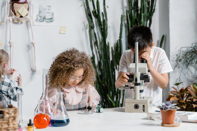 Academic Skill (Pexels/Mart Production)