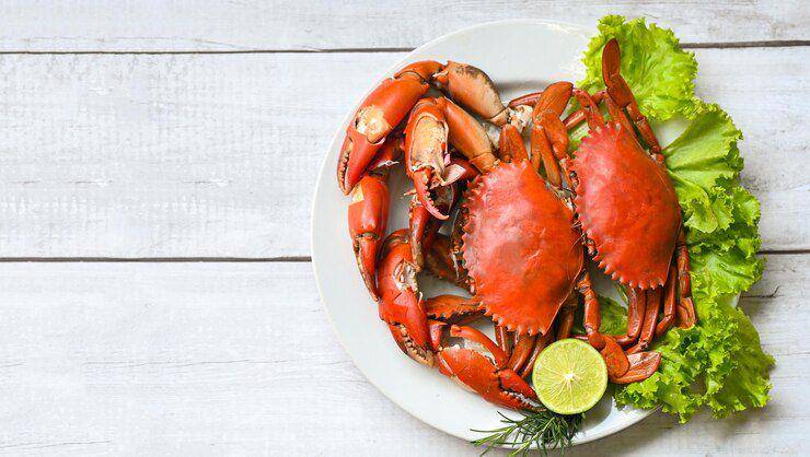 Ilustrasi seafood (freepik.com/poringdown)
