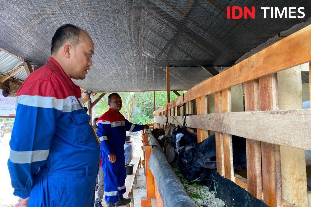 Pertamina Hulu Energi Jambi Merang dukung program ketahanan pangan Desa Mendis. (IDN Times/Irfan Fathurohman)
