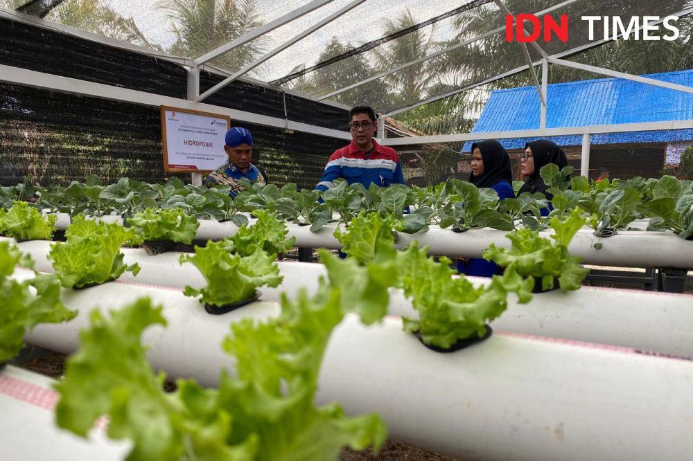 Ketahanan Desa Mendis Lewat CSR Pertamina Hulu Energi Jambi Merang