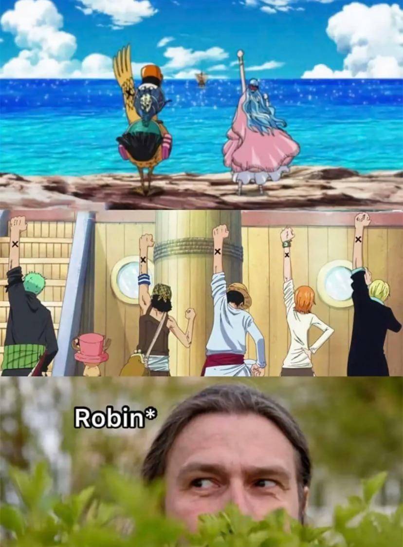 potret meme Nico Robin (reddit.com/user/Adriatik_xhakalija)