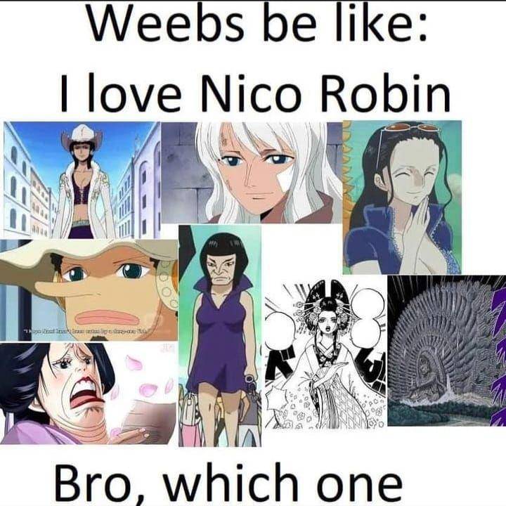 potret meme Nico Robin (reddit.com/user/Lisanro)