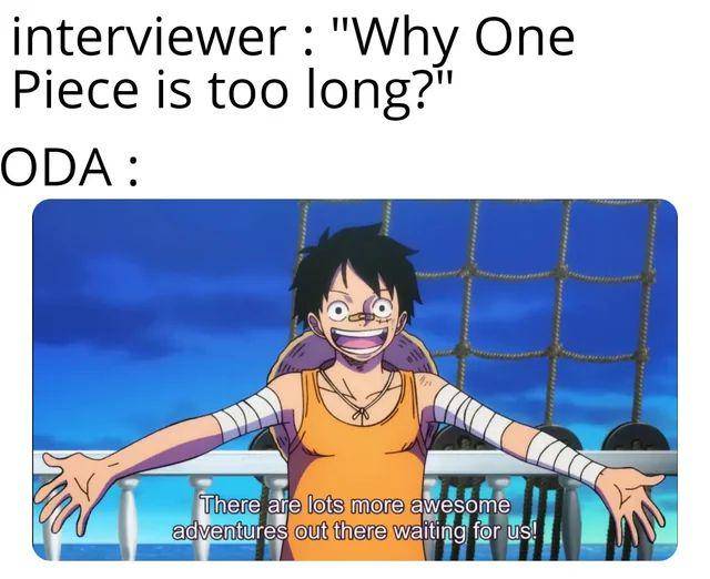 meme anime One Piece dibilang terlalu panjang (reddit.com/Stop_you)