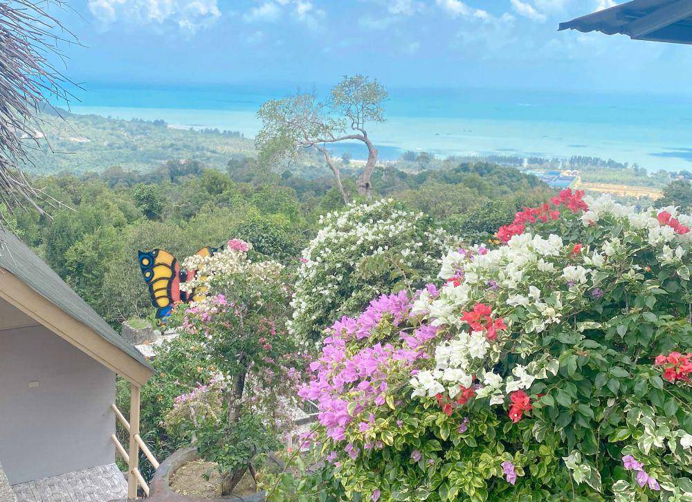 Bukit Pagoda Nusantara, Rebo, Sungailiat, Bangka Belitung (Dok pribadi/Cici Nasya Nita)