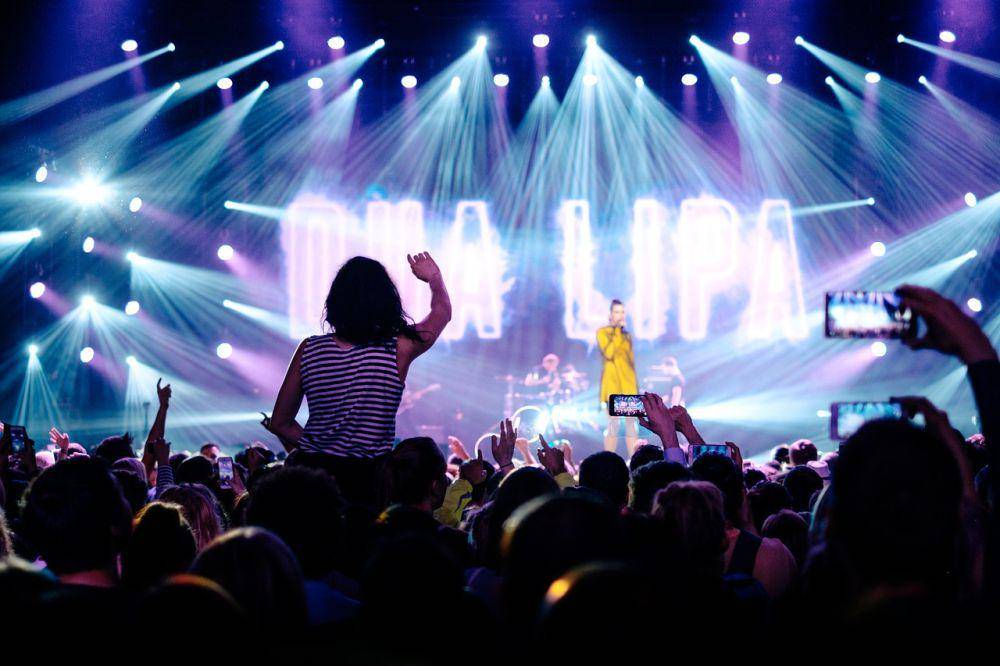 Ilustrasi nonton konser (pixabay.com/pexels)