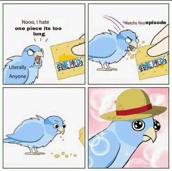meme anime One Piece dibilang terlalu panjang (x.com/DailyOPMemes)