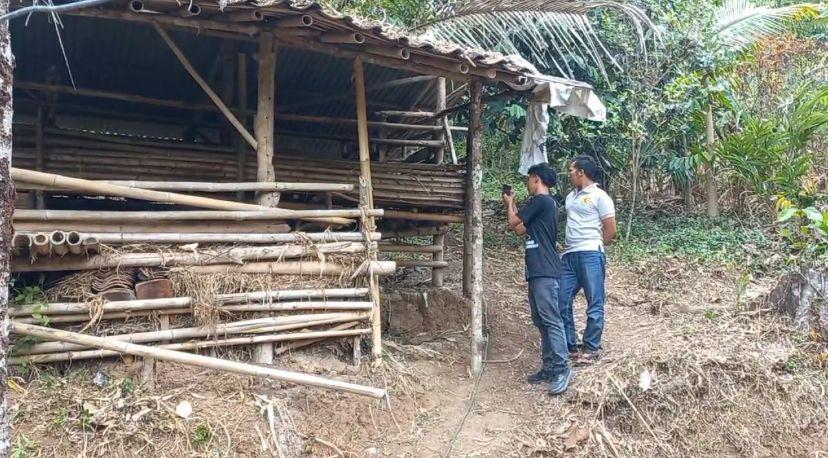 Teror Macan Lagi-lagi Terjadi di Sukabumi, 20 Domba Tewas Diterkam