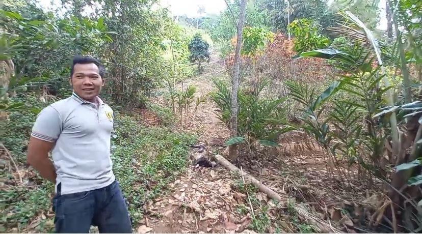 Kondisi jalan menuju kandang ternak domba (IDN Times/Istimewa)
