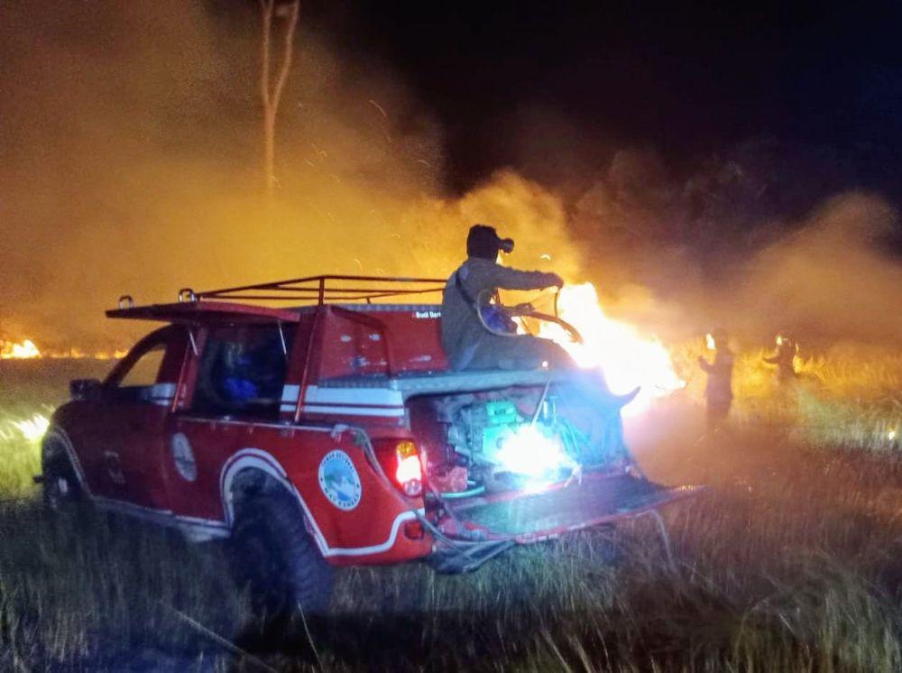 Ratusan Haktare Savana Taman Nasional Way Kambas Terbakar