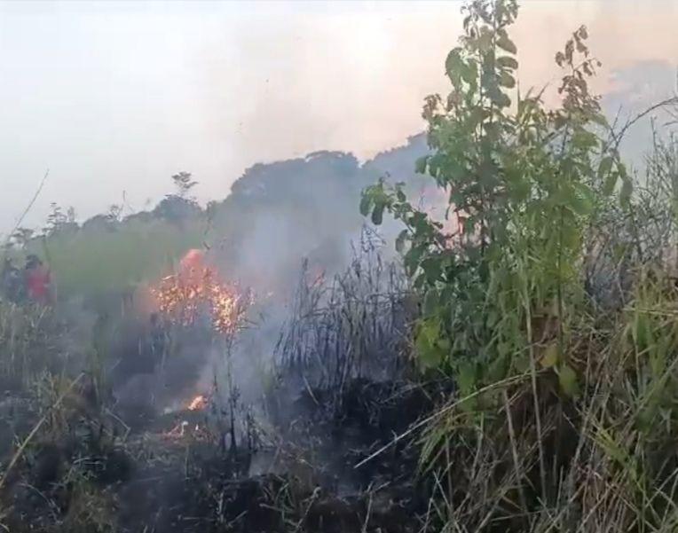 Juli-September 2024, 1.022 Hektare Hutan dan Lahan Way Kambas Terbakar