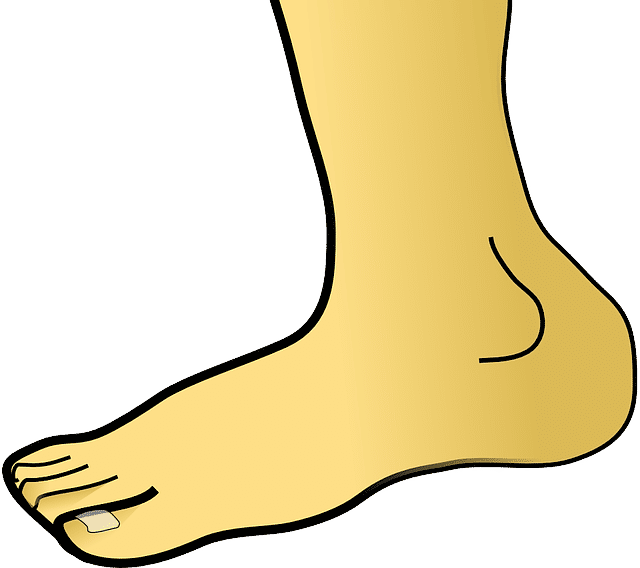 Ilustrasi mata kaki. (Pixabay.com/Clker-Free-Vector-Images)
