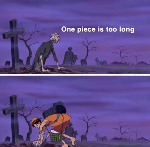 meme anime One Piece dibilang terlalu panjang (reddit.com/deleted)