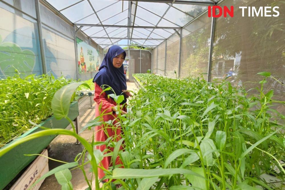 Bertani dalam Keterbatasan Lahan di Jakarta Lewat Hidroponik