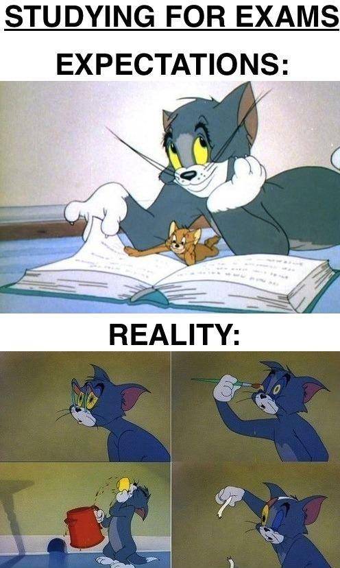 potret meme Tom (reddit.com/user/lilysmith212)