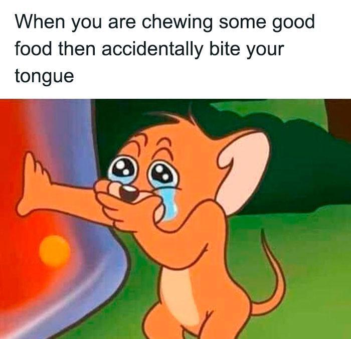 potret meme Jerry (reddit.com/user/lilysmith212)