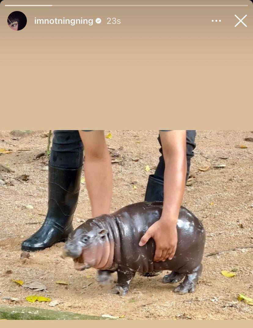Ningning aespa mengunggah Moo Deng (Instagram.com/iamnotningning)
