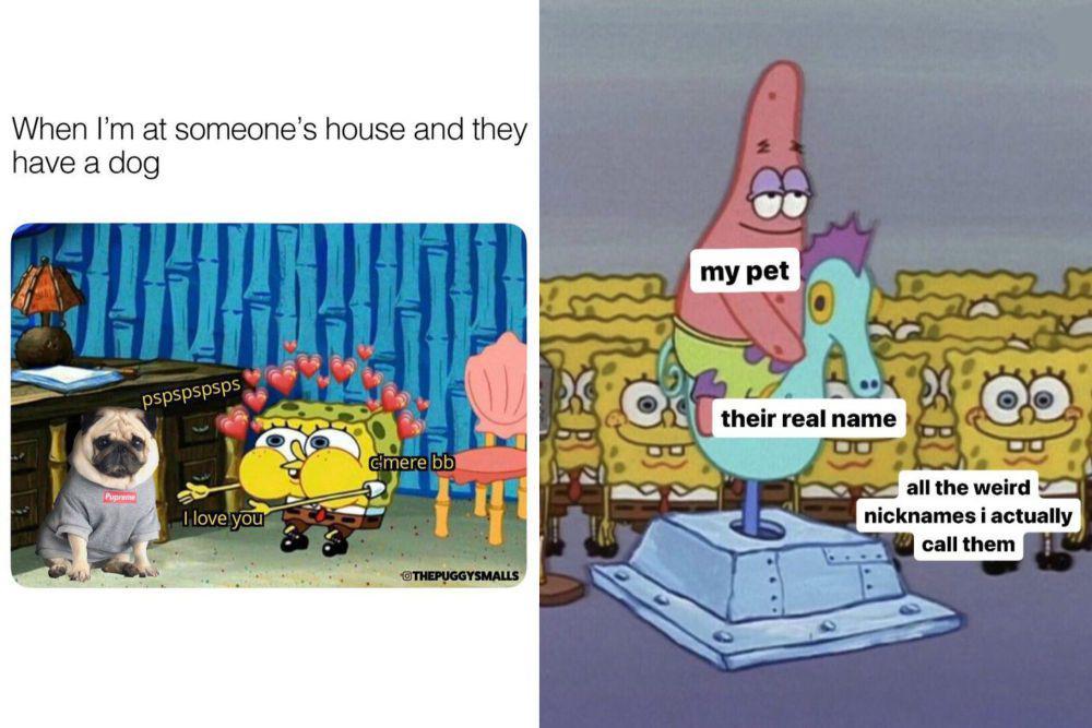 kolase meme SpongeBob tentang hewan peliharaan (x.com/thepuggysmalls I x.com/okjessofficial)