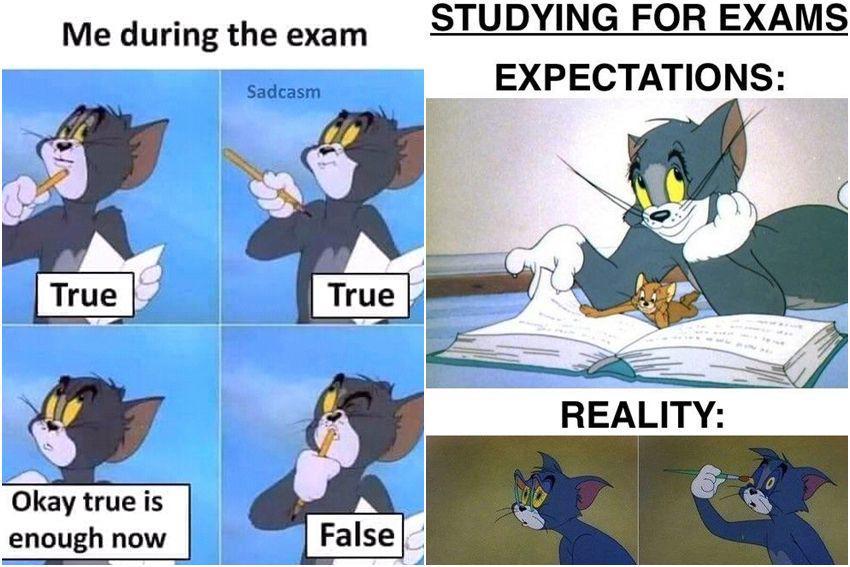 8 Meme Tom dari Kartun Tom and Jerry yang Relate dengan Kehidupan