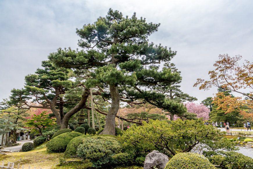 ilustrasi Wisata Musim Gugur di Kanazawa Jepang (unsplash.com/Vladimir Haltakov)