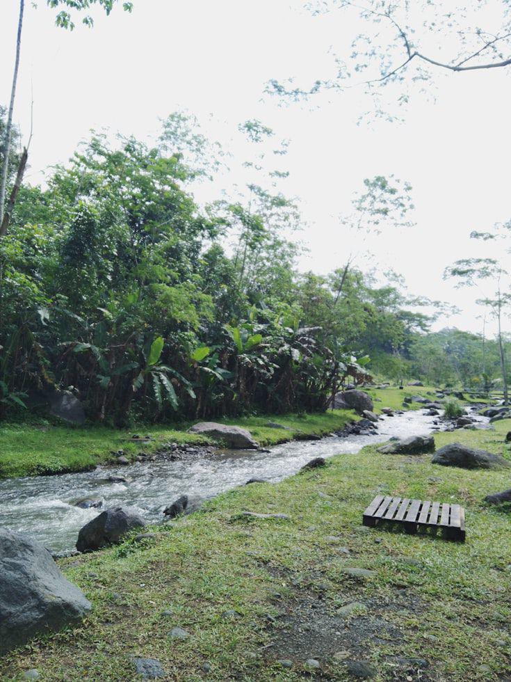 potret ledok sambi (unsplash.com/@audee231)