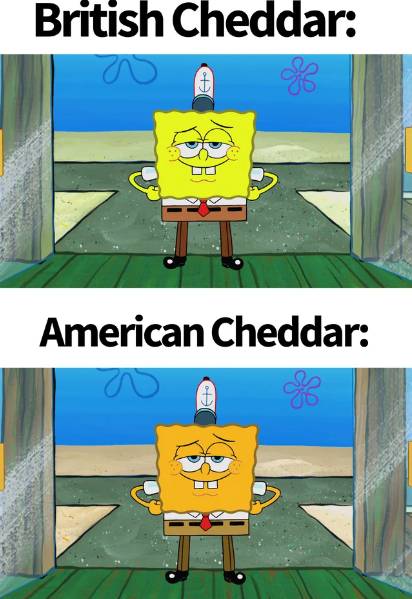 meme SpongeBob perbandingan Amerika Serikat dan negara Eropa (reddit.com/SkylandersKirby)