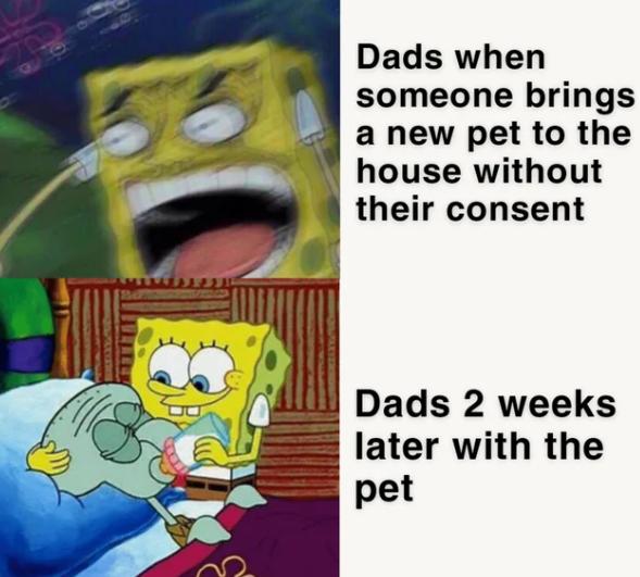 meme SpongeBob tentang hewan peliharaan (reddit.com/deleted)