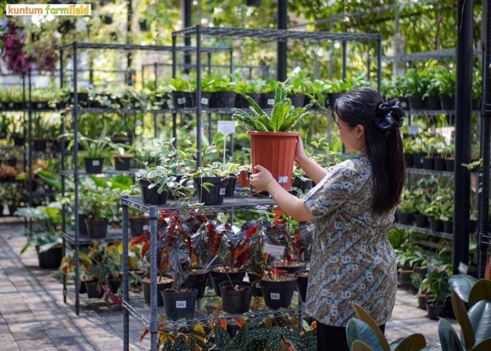 Kuntum Farmfield (instagram.com/kuntumfarmfield)