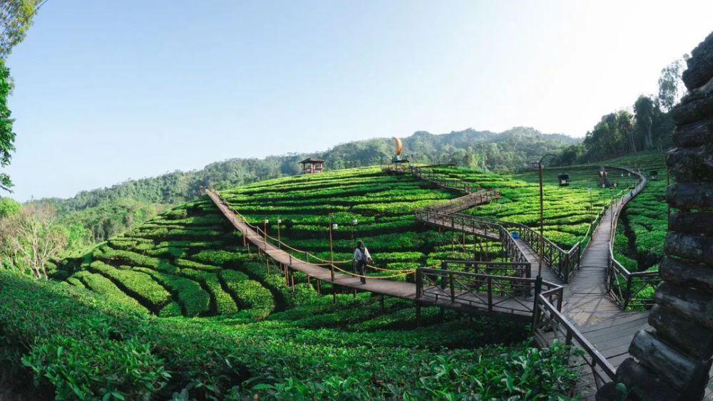 Pesona Gunung Gambir Jember: HTM, Lokasi, dan Fasilitas