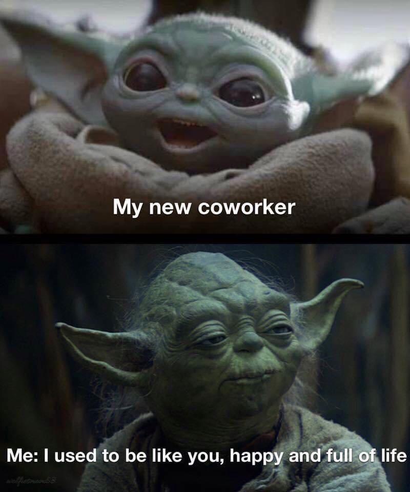 meme hari pertama masuk kerja (reddit.com/user/Redeye007)