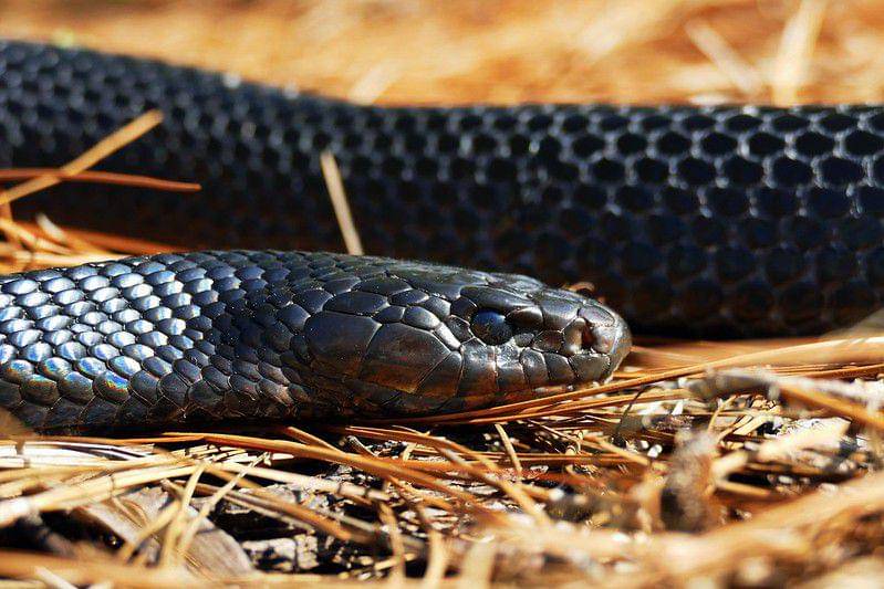 Lego porno Teshik video bilan külotda sikish