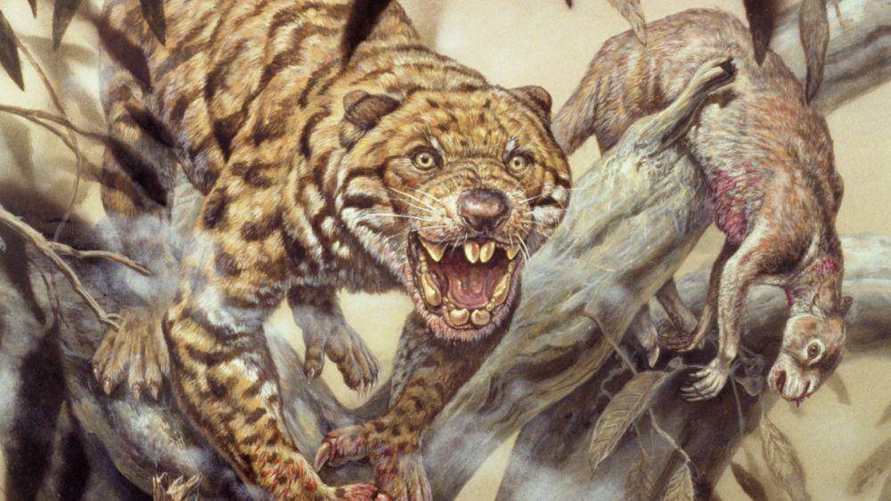 ilustrasi  Thylacoleo yang sedang berburu (huffingtonpost.com)