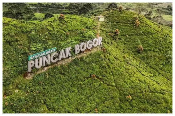 Foto puncak bogor(https://images.app.goo.gl/K4C9s4xBDnJ5JTs37)