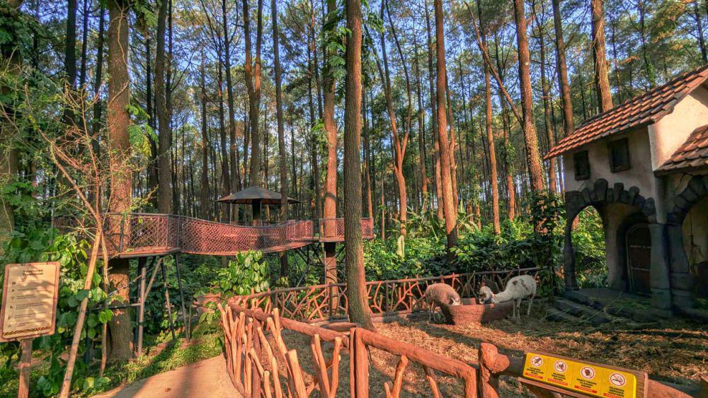 Arena mini zoo di Enchanting Forest Pasuruan. Foto: Taman Safari
