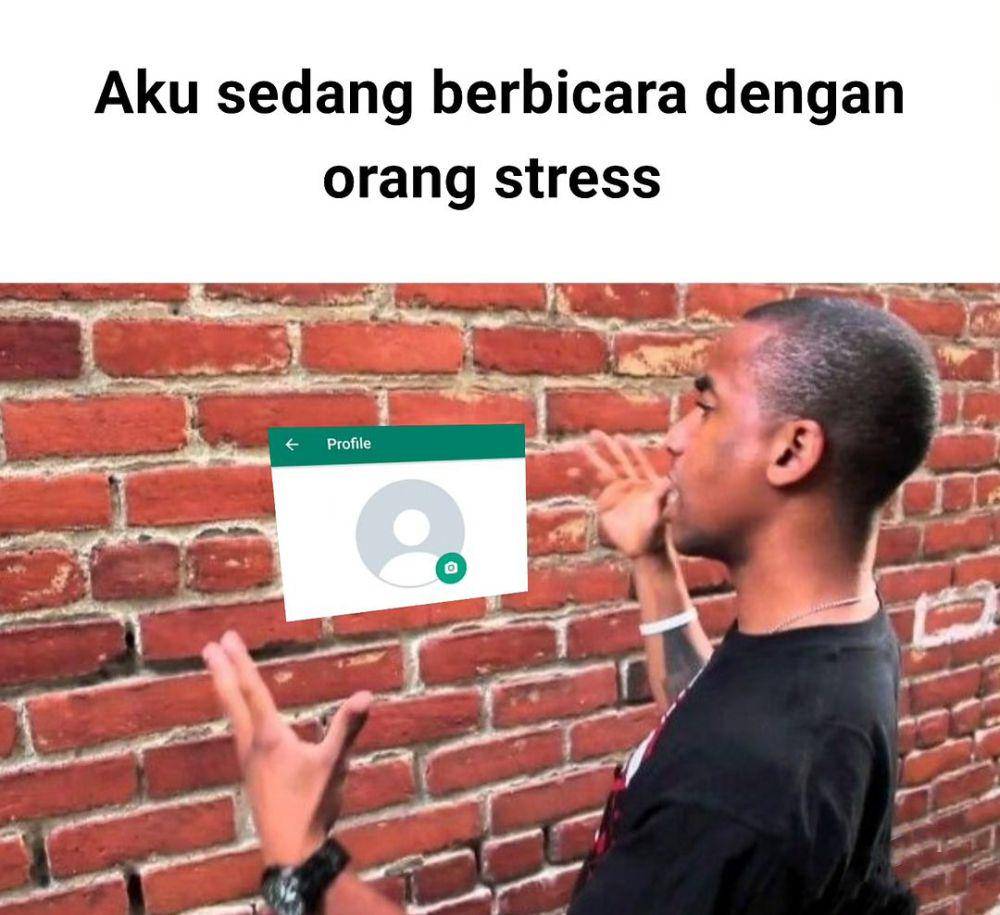 meme akun tanpa foto profil (instagram.com/statuslucu_official)