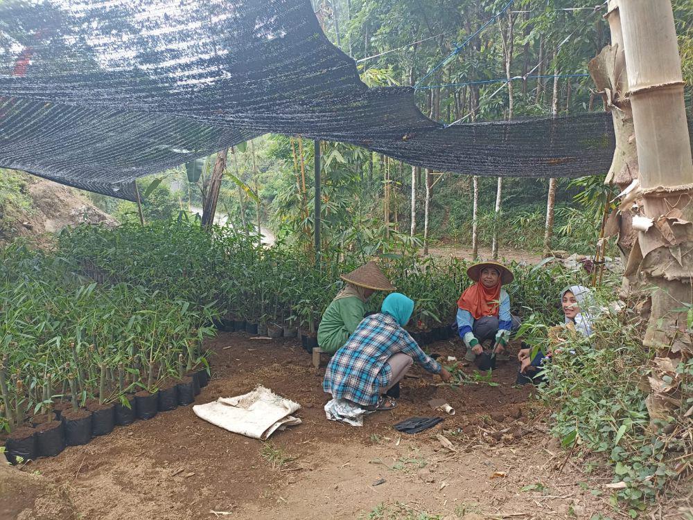 Multi Bintang Indonesia berkolaborasi dengan YBLL untuk pemanfaatan bambu demi mencapai 100 persen keseimbangan air. (IDN Times/M. Tarmizi Murdianto)