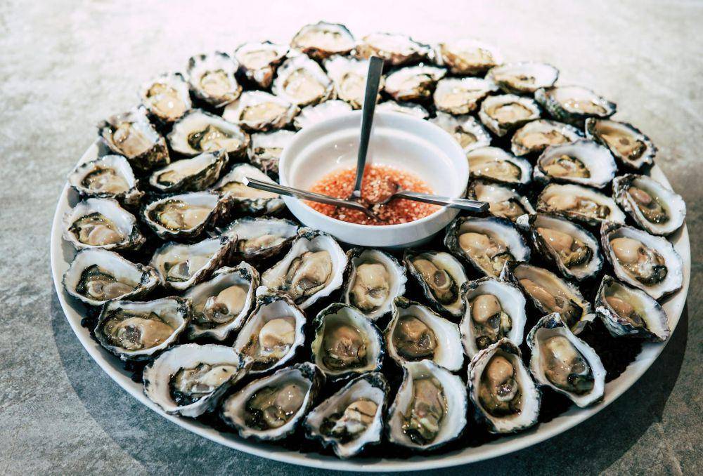 ilustrasi oyster (pexels.com/Elle Hughes)