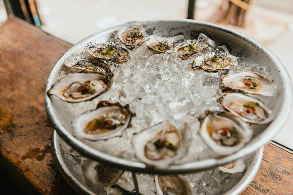 ilustrasi oyster (pexels.com/RDNE Stock project)