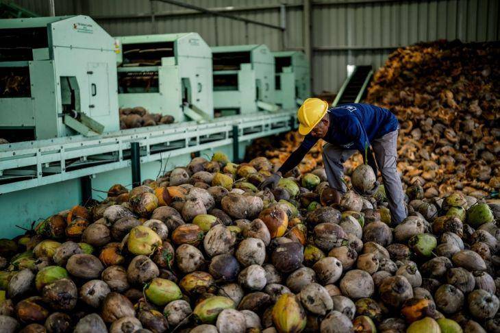 Proses pengolahan kelapa di pabrik Dewacoco milik JHL Group (dok. JHL Group)