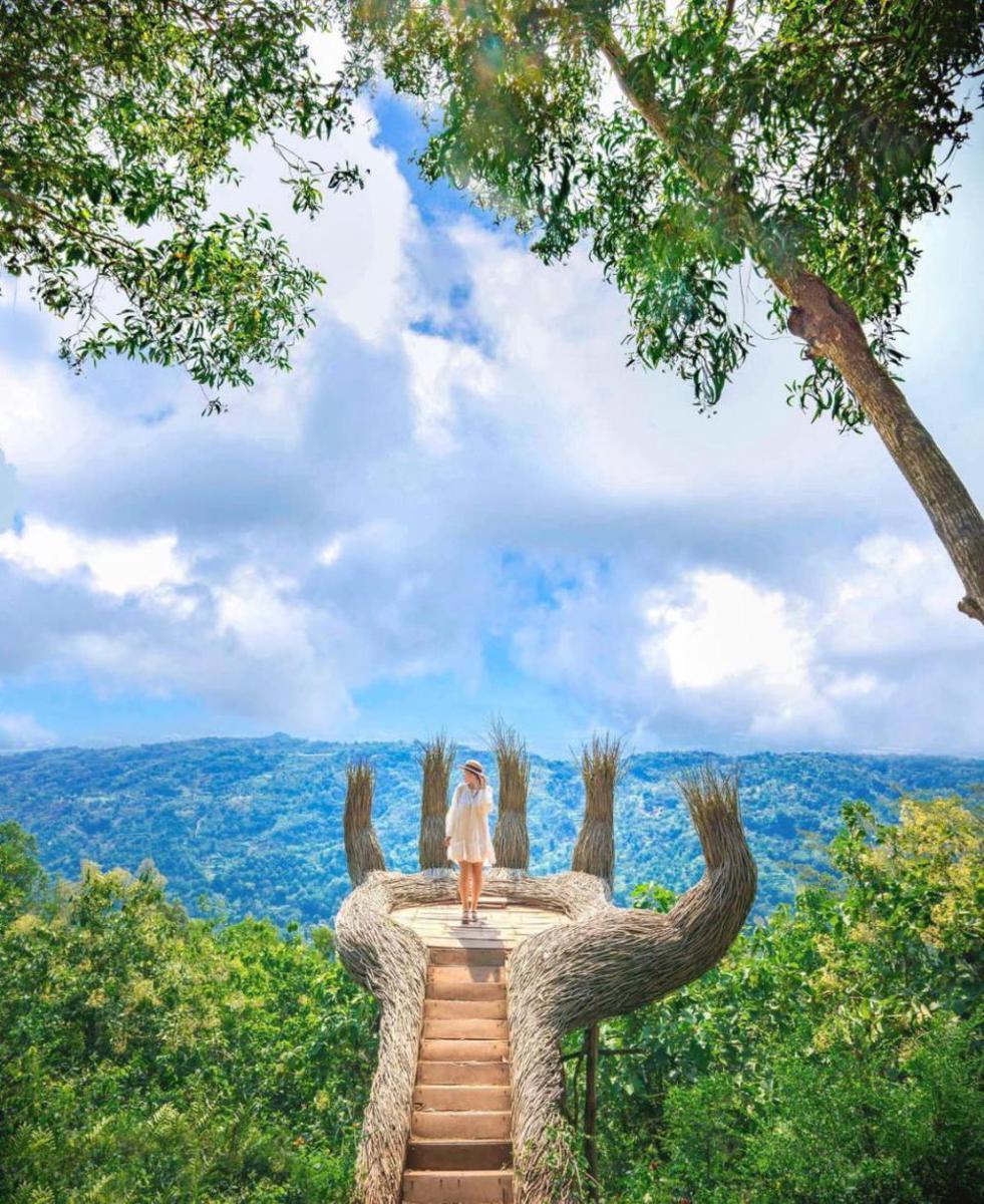 Hutan Pinus Pengger (Instagram.com/@mysuitcasejourneys)