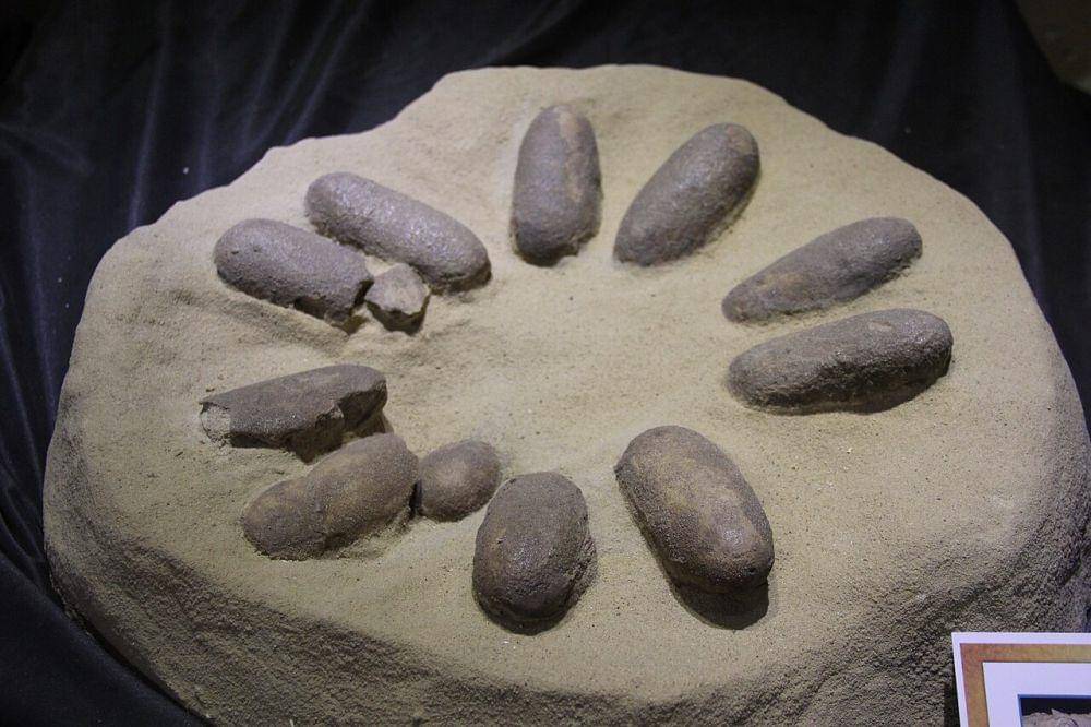 telur dinosaurus (commons.wikimedia.org/Gary Todd)