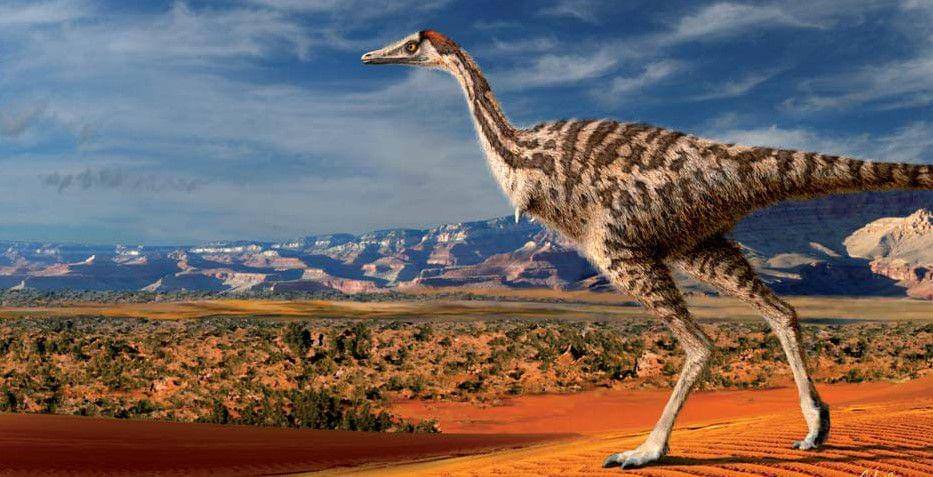 Linhenykus (commons.wikimedia.org/Julius T. Csotonyi)