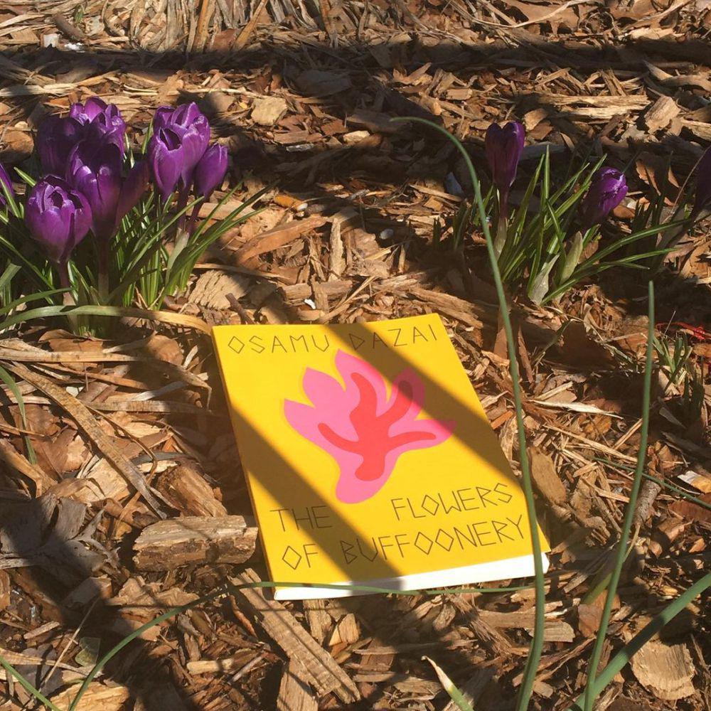The Flowers of Buffoonery (instagram.com/sambett)