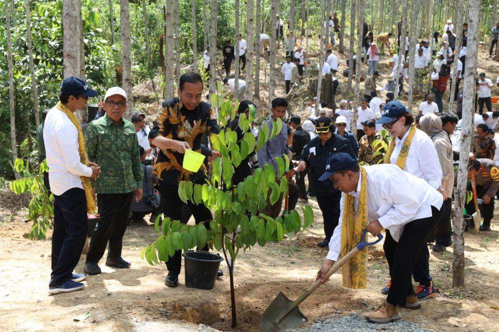 Pencanangan Hutan Wanagama Nusantara di IKN oleh Presiden Joko Widodo. (Dok. Humas UGM)
