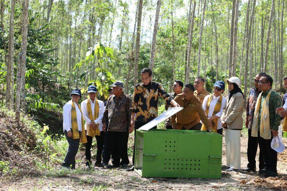 Pencanangan Hutan Wanagama Nusantara di IKN oleh Presiden Joko Widodo. (Dok. Humas UGM)