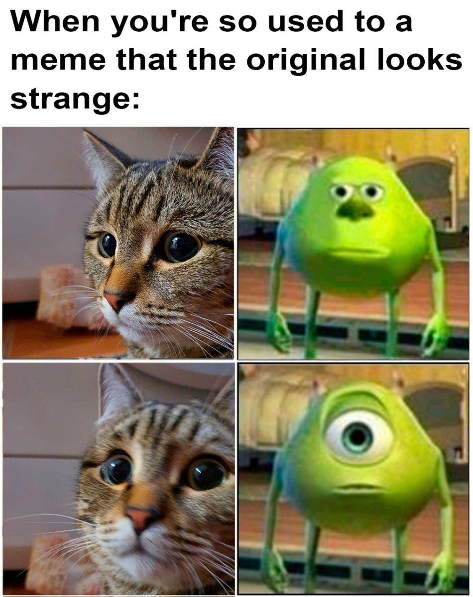 potret meme Mike Wazowski mata dua (reddit.com/r/memes)