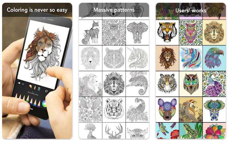 tampilan aplikasi Animal Coloring Book (dok. Google Play Store/Animal Coloring Book)