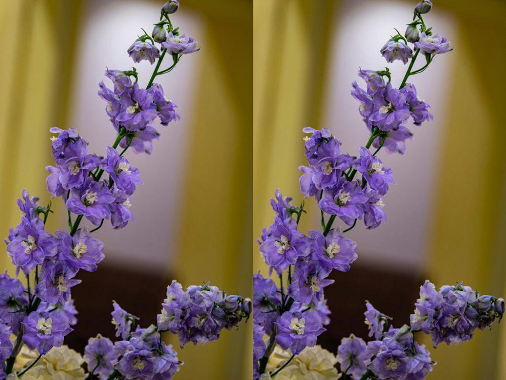 ilustrasi delphiniums (unsplash.com/Narsimha Rao Mangu)